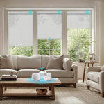 Blindify Motorized Light Filtering Shades