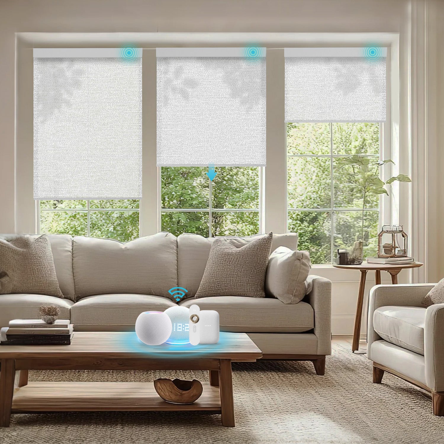 Blindify Motorized Light Filtering Shades