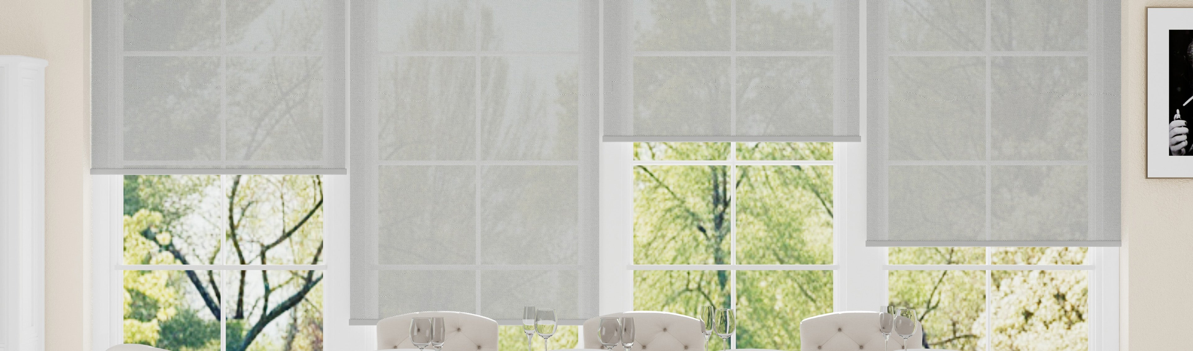 Solar Shades