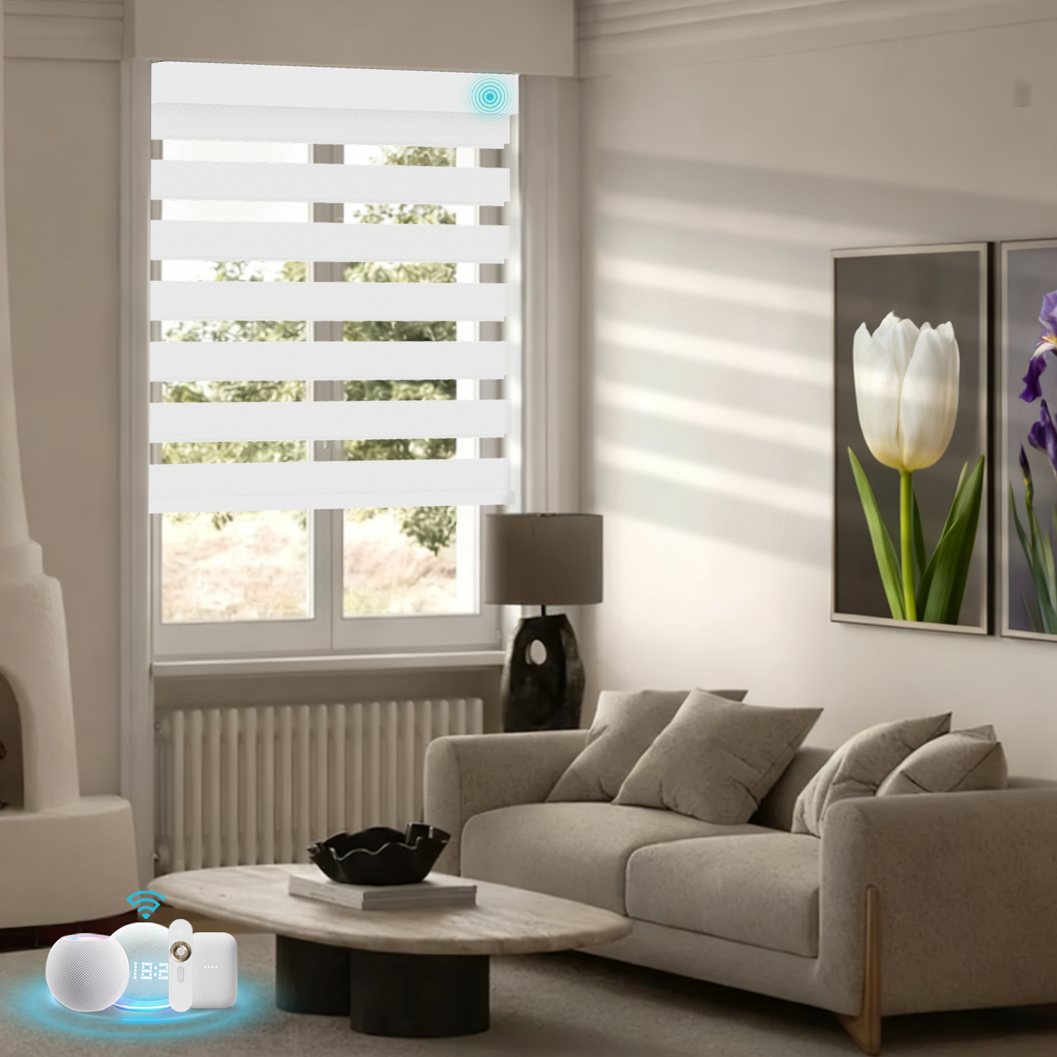 Blindify Motorized Zebra Shades(2025 New Series)