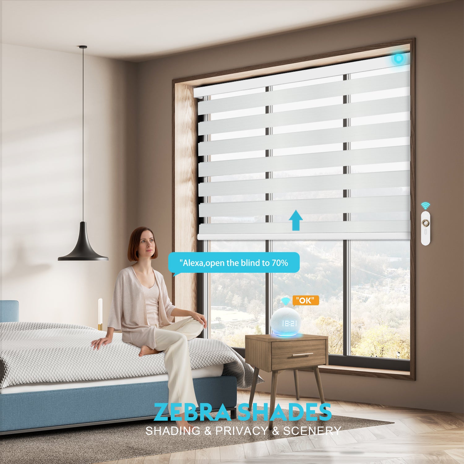 Custom Zebra Shades | Dual Sheer Blinds | Cordless & Motorized