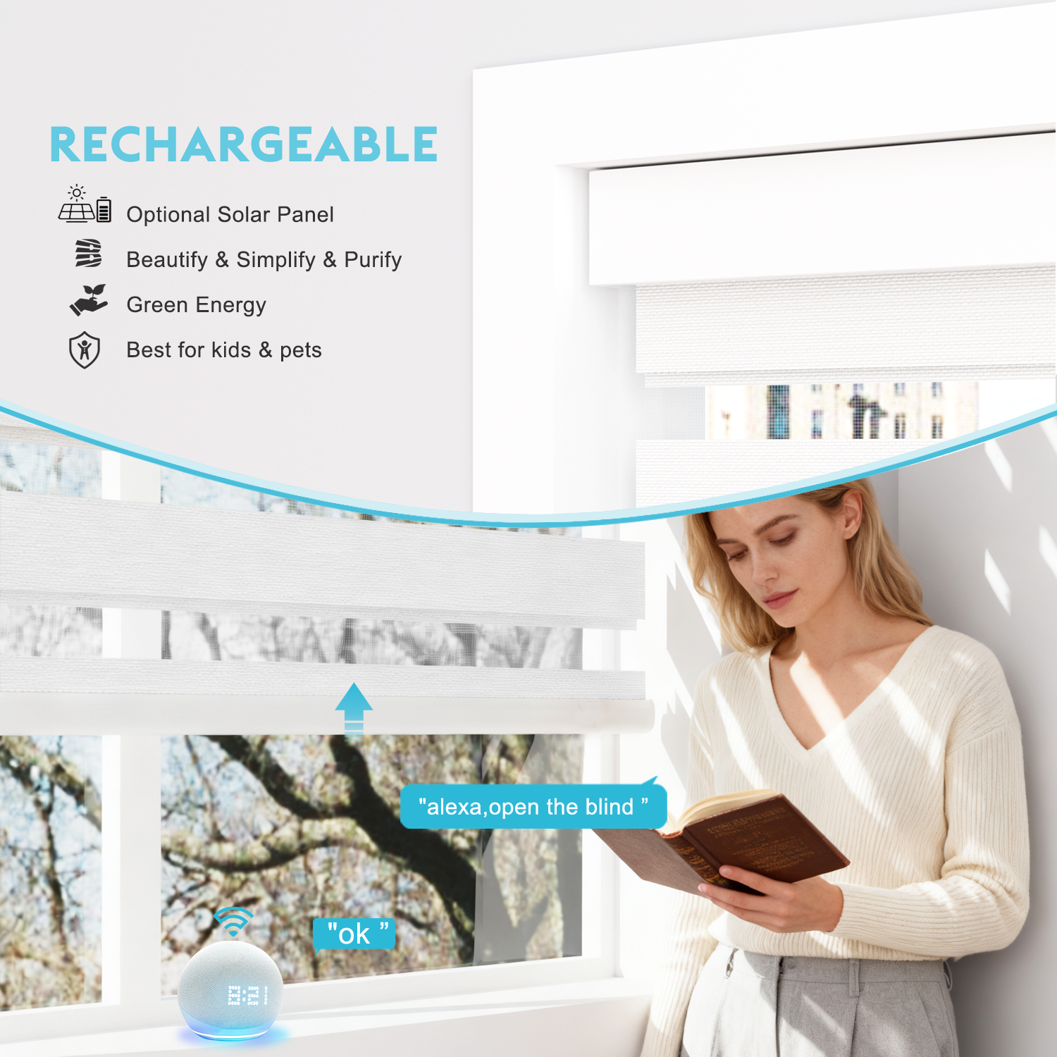 Blindify Motorized Zebra Shades(2025 New Series)