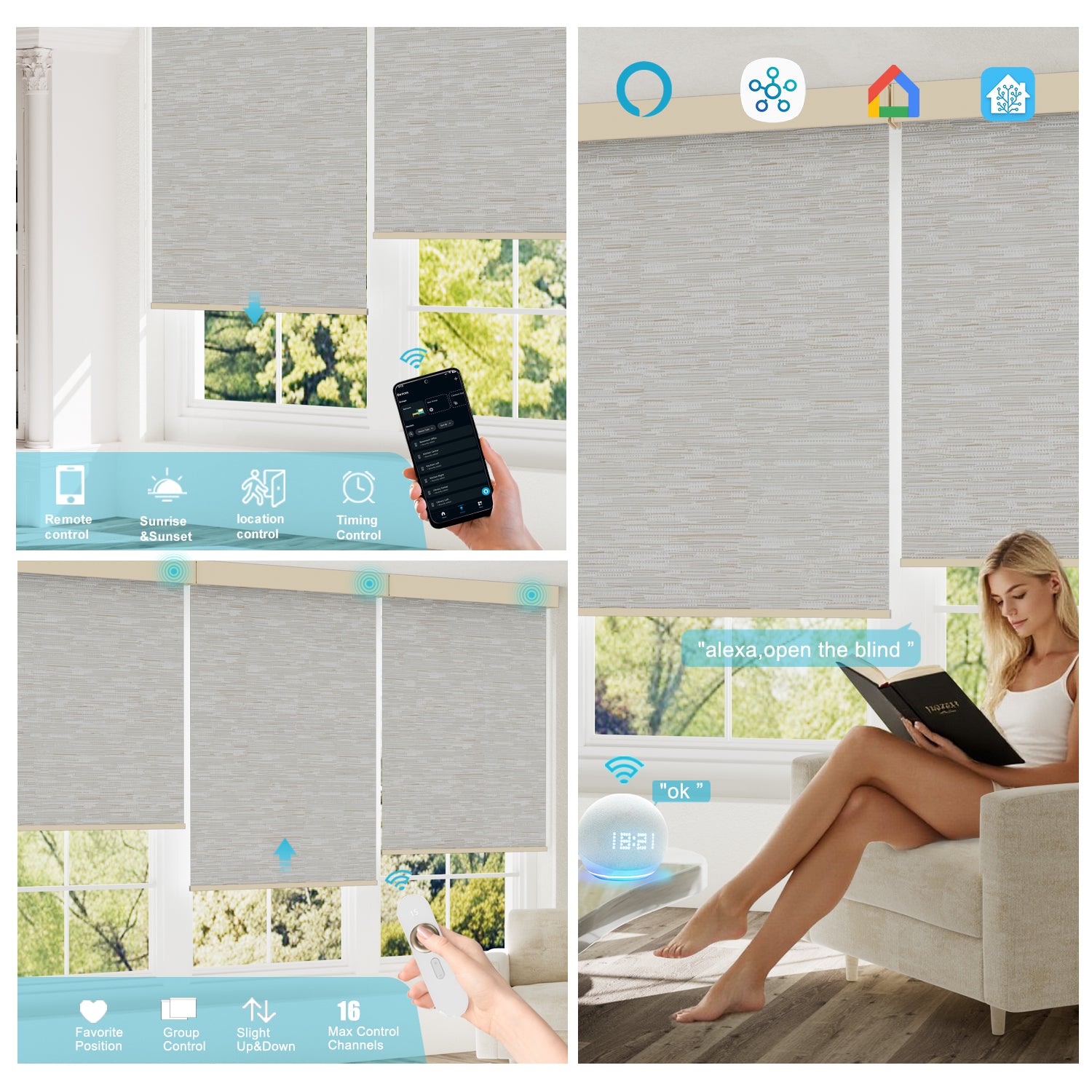 Blindify Motorized Dual Shades | Light Filtering & Blackout