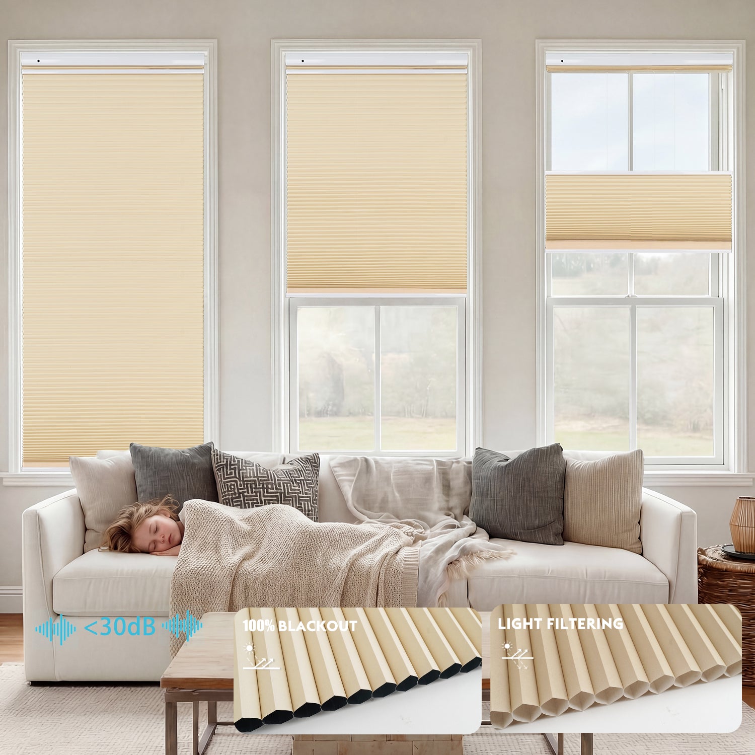 No-Drill  Motorized Cellular Shades ——Top Down Bottom Up (TDBU)